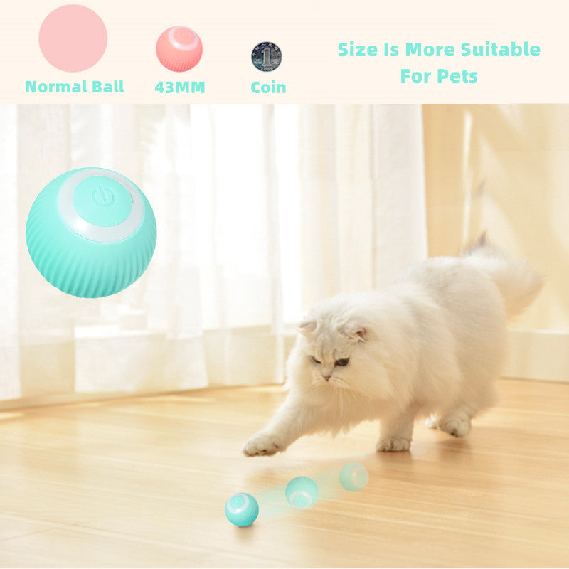 Interactive Rolling Cat Ball