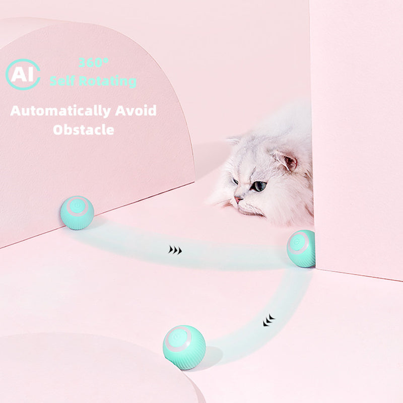Interactive Rolling Cat Ball